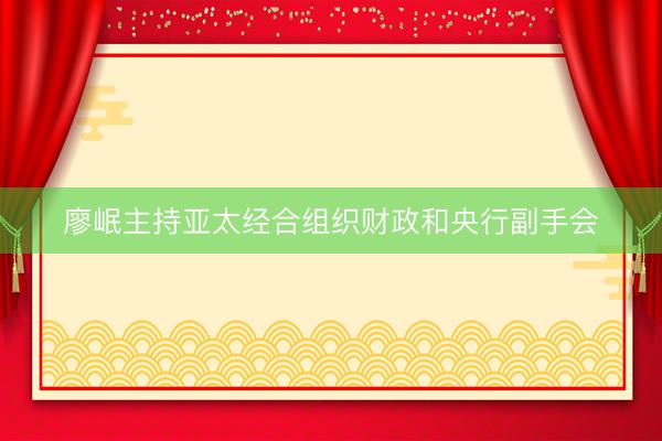 廖岷主持亚太经合组织财政和央行副手会