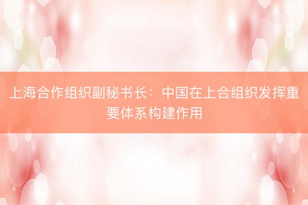 上海合作组织副秘书长：中国在上合组织发挥重要体系构建作用