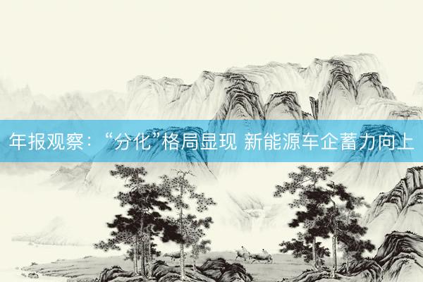 年报观察：“分化”格局显现 新能源车企蓄力向上