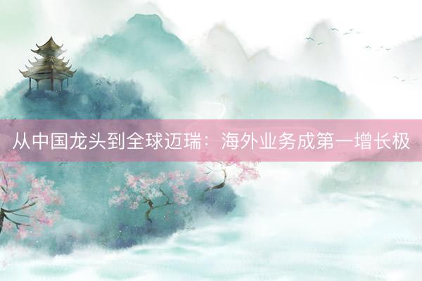 从中国龙头到全球迈瑞：海外业务成第一增长极
