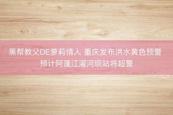 黑帮教父DE萝莉情人 重庆发布洪水黄色预警 预计阿蓬江濯河坝站将超警