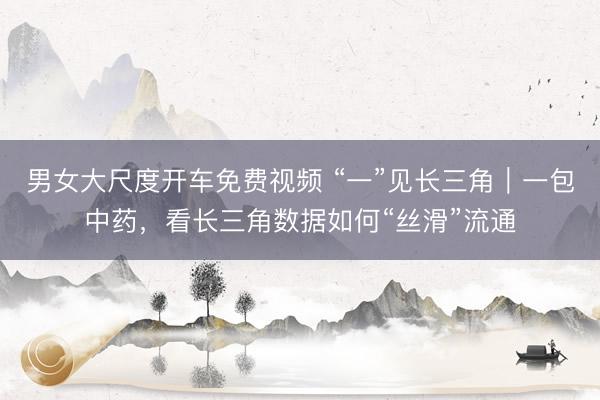 男女大尺度开车免费视频 “一”见长三角｜一包中药，看长三角数据如何“丝滑”流通