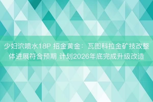 少妇泬喷水18P 招金黄金：瓦图科拉金矿技改整体进展符合预期 计划2026年底完成升级改造