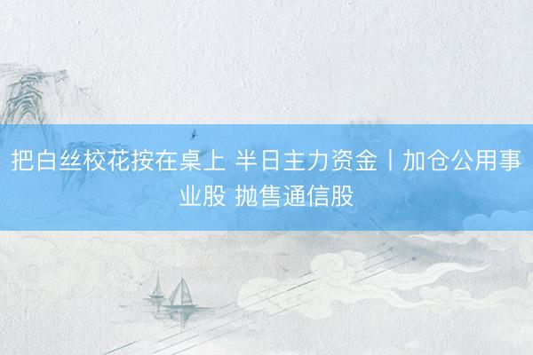 把白丝校花按在桌上 半日主力资金丨加仓公用事业股 抛售通信股