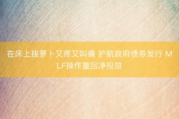 在床上拔萝卜又疼又叫痛 护航政府债券发行 MLF操作重回净投放