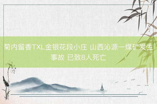 菊内留香TXL金银花段小庄 山西沁源一煤矿发生事故 已致8人死亡