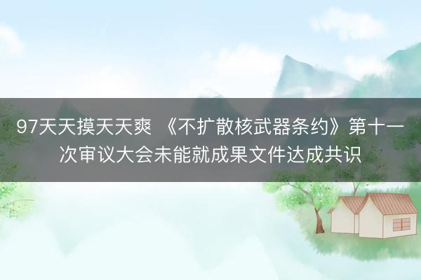 97天天摸天天爽 《不扩散核武器条约》第十一次审议大会未能就成果文件达成共识