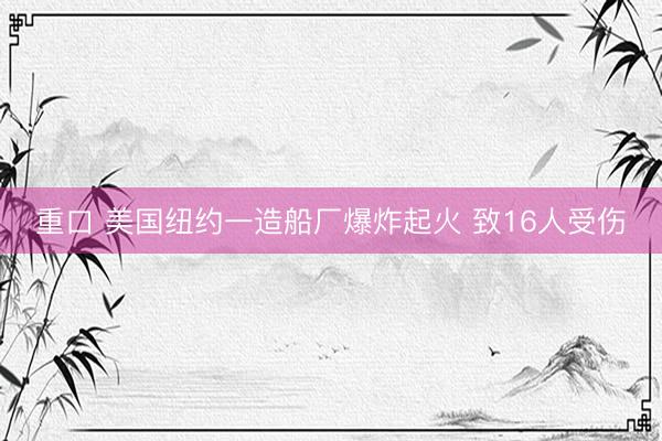 重口 美国纽约一造船厂爆炸起火 致16人受伤