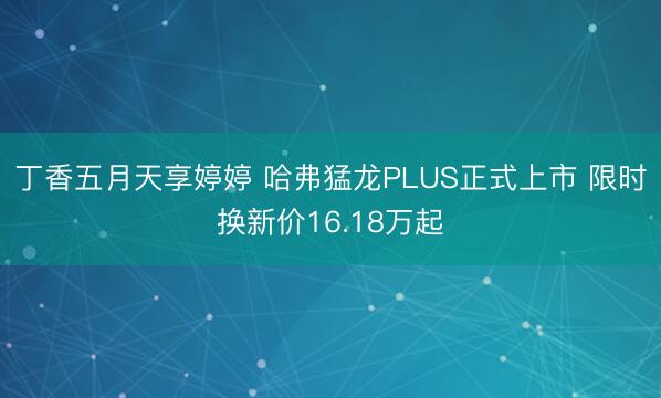 丁香五月天享婷婷 哈弗猛龙PLUS正式上市 限时换新价16.18万起