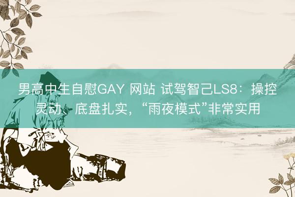 男高中生自慰GAY 网站 试驾智己LS8：操控灵动、底盘扎实，“雨夜模式”非常实用