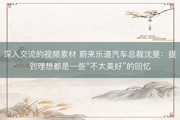深入交流的视频素材 蔚来乐道汽车总裁沈斐:提到理想都是一些“不太美好”的回忆