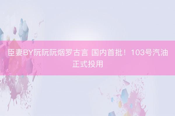 臣妻BY阮阮阮烟罗古言 国内首批!103号汽油正式投用