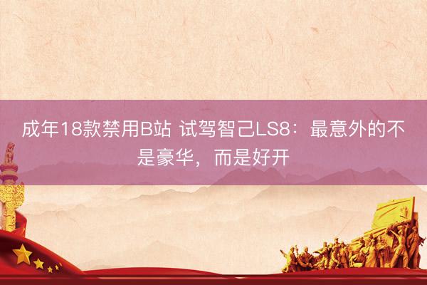 成年18款禁用B站 试驾智己LS8：最意外的不是豪华，而是好开
