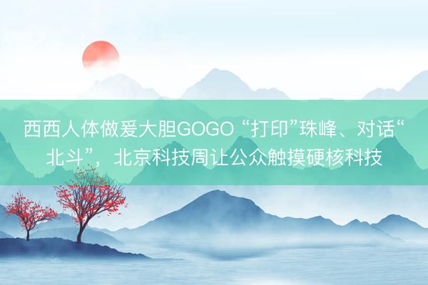 西西人体做爰大胆GOGO “打印”珠峰、对话“北斗”，北京科技周让公众触摸硬核科技