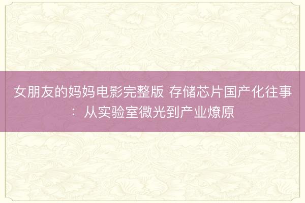 女朋友的妈妈电影完整版 存储芯片国产化往事：从实验室微光到产业燎原