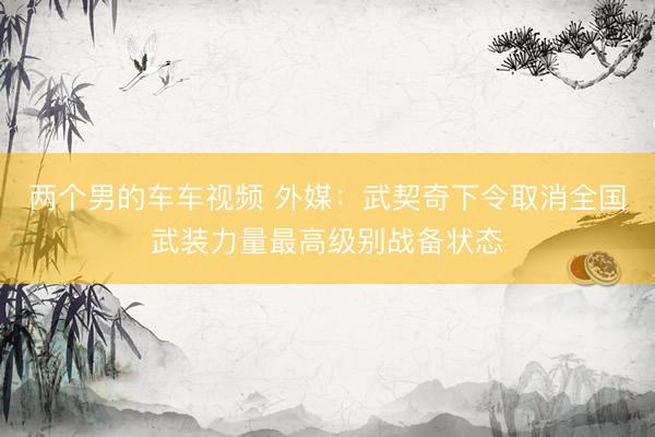 两个男的车车视频 外媒：武契奇下令取消全国武装力量最高级别战备状态