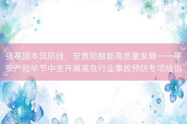 强基固本筑防线，安责险赋能高质量发展——平安产险毕节中支开展高危行业事故预防专项培训