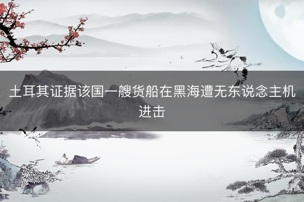 土耳其证据该国一艘货船在黑海遭无东说念主机进击