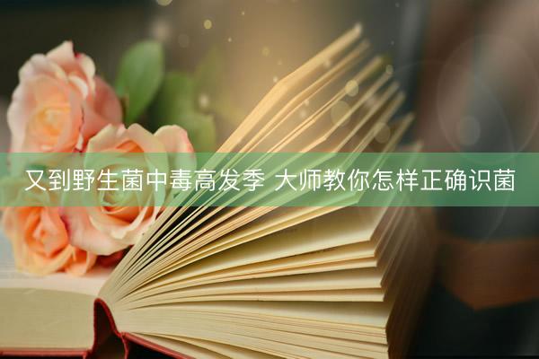 又到野生菌中毒高发季 大师教你怎样正确识菌