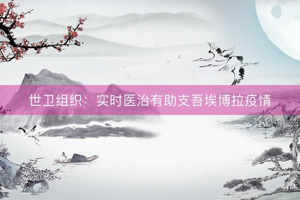 世卫组织：实时医治有助支吾埃博拉疫情