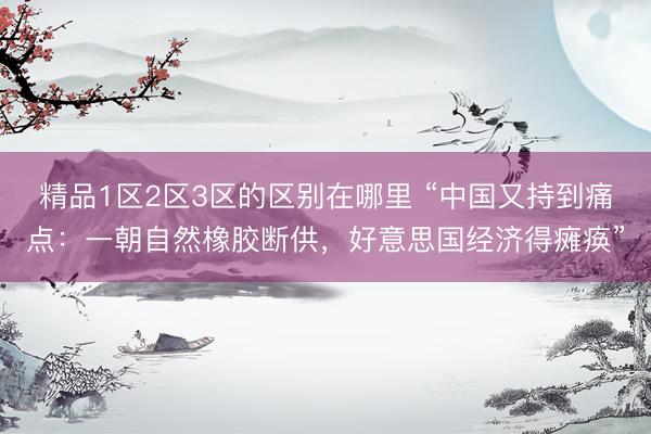 精品1区2区3区的区别在哪里 “中国又持到痛点：一朝自然橡胶断供，好意思国经济得瘫痪”