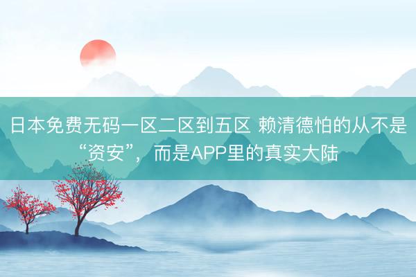 日本免费无码一区二区到五区 赖清德怕的从不是“资安”，而是APP里的真实大陆