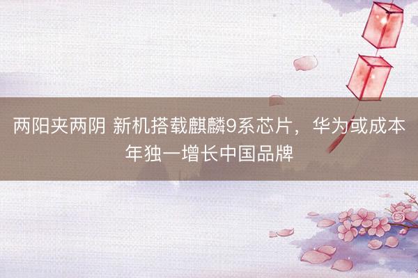 两阳夹两阴 新机搭载麒麟9系芯片，华为或成本年独一增长中国品牌