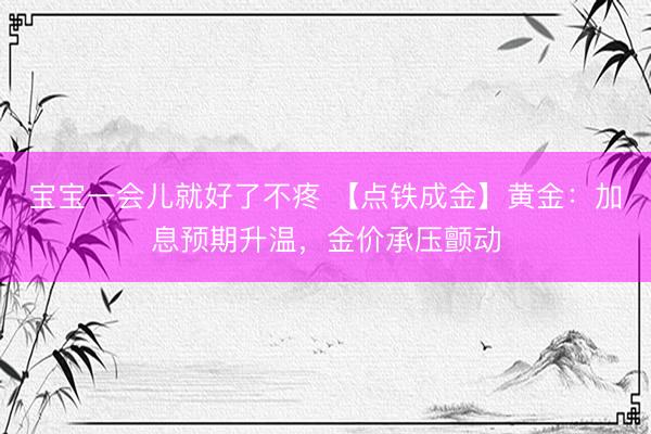 宝宝一会儿就好了不疼 【点铁成金】黄金：加息预期升温，金价承压颤动