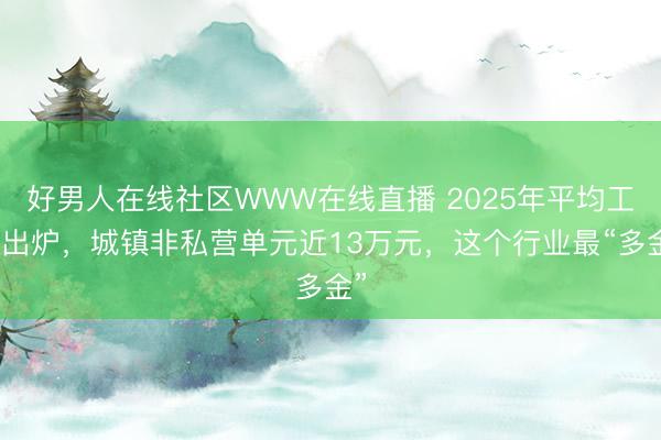 好男人在线社区WWW在线直播 2025年平均工资出炉，城镇非私营单元近13万元，这个行业最“多金”