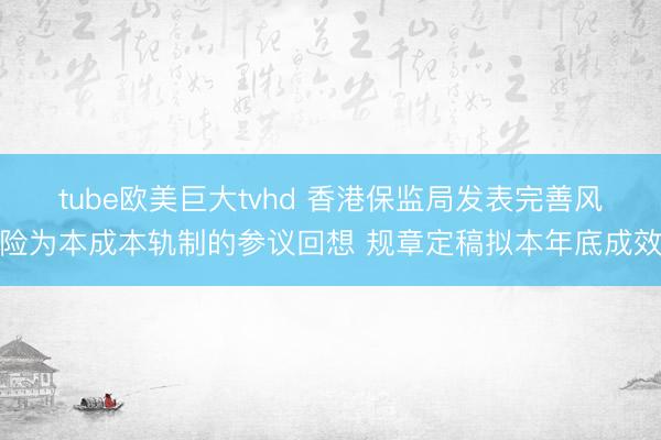tube欧美巨大tvhd 香港保监局发表完善风险为本成本轨制的参议回想 规章定稿拟本年底成效