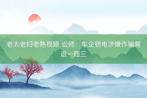 老太老妇老熟视频 讼师：车企锁电涉嫌诈骗需退一赔三