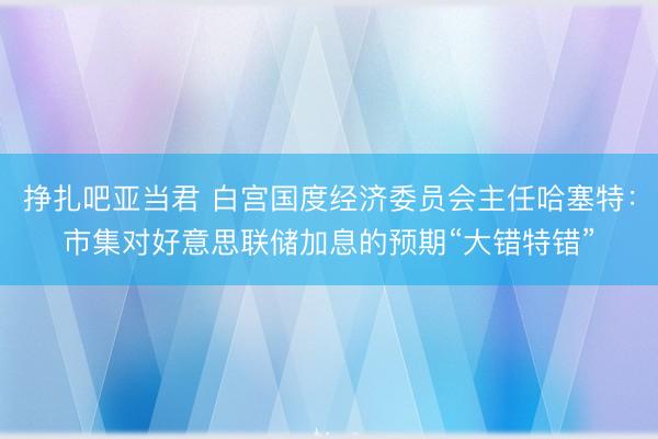 挣扎吧亚当君 白宫国度经济委员会主任哈塞特：市集对好意思联储加息的预期“大错特错”