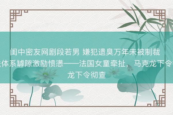 闺中密友网剧段若男 嫌犯遗臭万年未被制裁 司法体系罅隙激励愤懑——法国女童牵扯，马克龙下令彻查