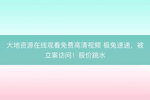 大地资源在线观看免费高清视频 极兔速递，被立案访问！股价跳水