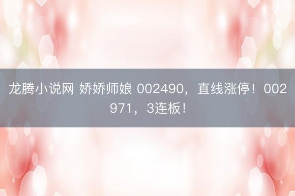 龙腾小说网 娇娇师娘 002490，直线涨停！002971，3连板！