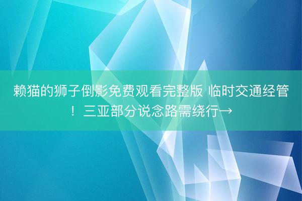 赖猫的狮子倒影免费观看完整版 临时交通经管！三亚部分说念路需绕行→