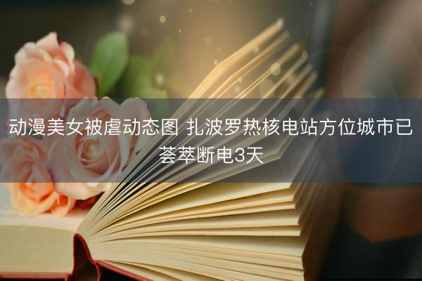 动漫美女被虐动态图 扎波罗热核电站方位城市已荟萃断电3天