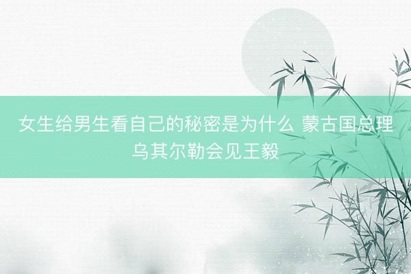 女生给男生看自己的秘密是为什么 蒙古国总理乌其尔勒会见王毅