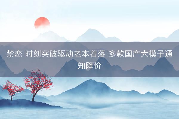 禁恋 时刻突破驱动老本着落 多款国产大模子通知降价