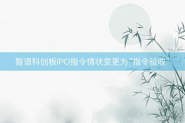 智谱科创板IPO指令情状变更为“指令验收”
