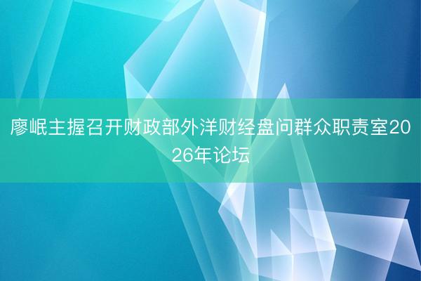 廖岷主握召开财政部外洋财经盘问群众职责室2026年论坛