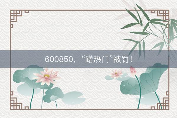 600850，“蹭热门”被罚！