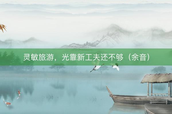 灵敏旅游，光靠新工夫还不够（余音）